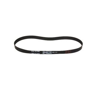 Hoover Fh51000 Steam Vacuum Cleaner Belt #440005536