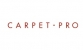 Carpet Pro